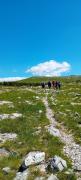 IMG-20250526-WA0031