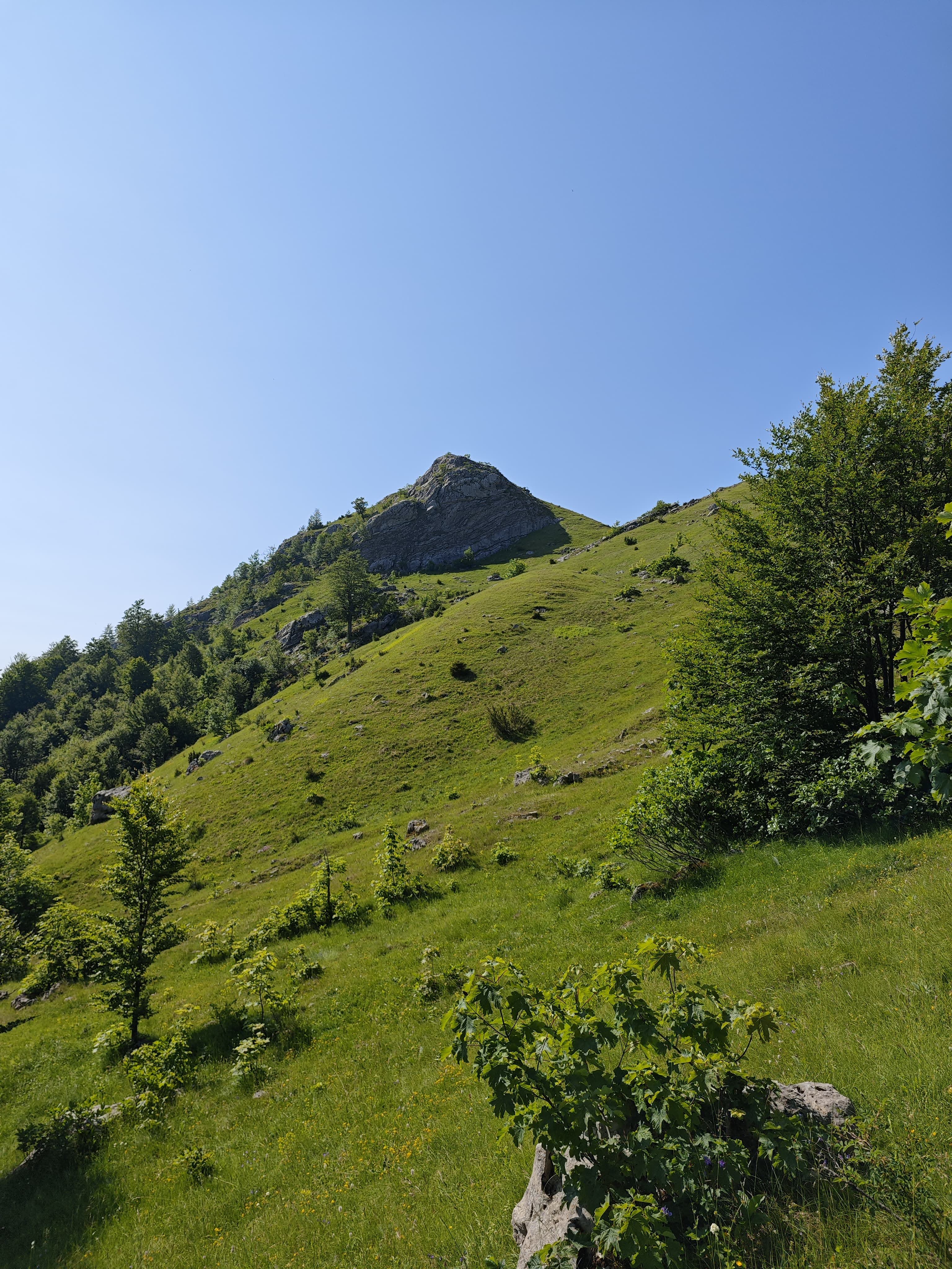 IMG-20250616-WA0107