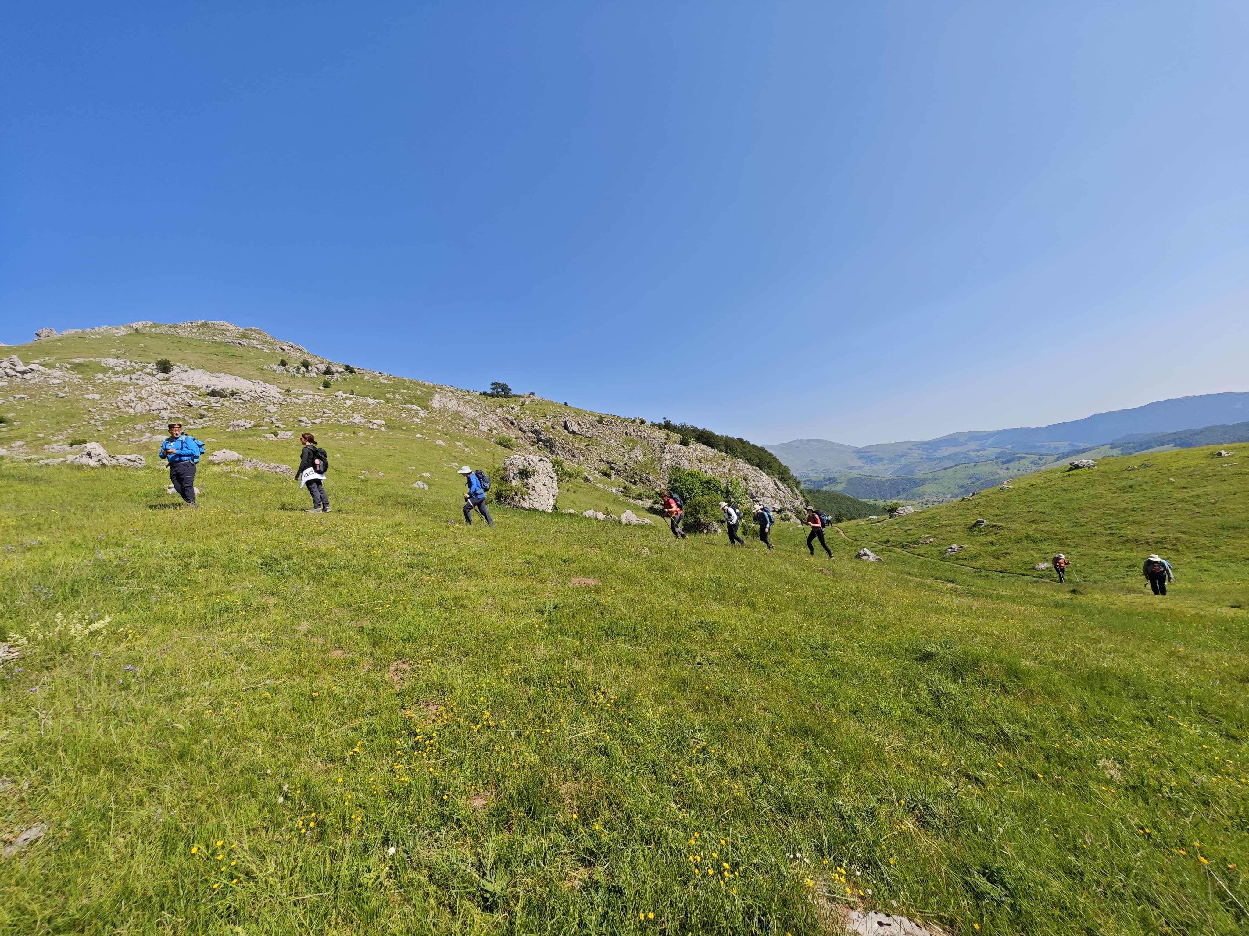 IMG-20250616-WA0185