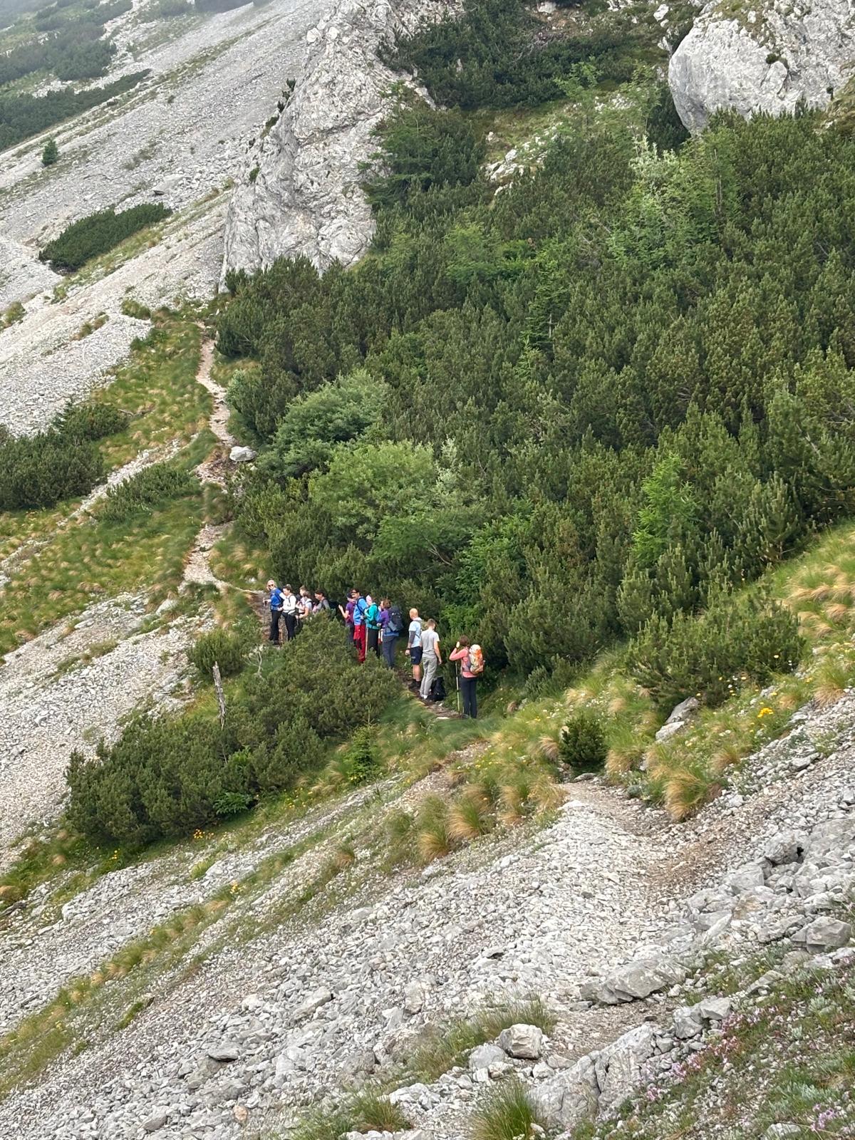 IMG-20250705-WA0031