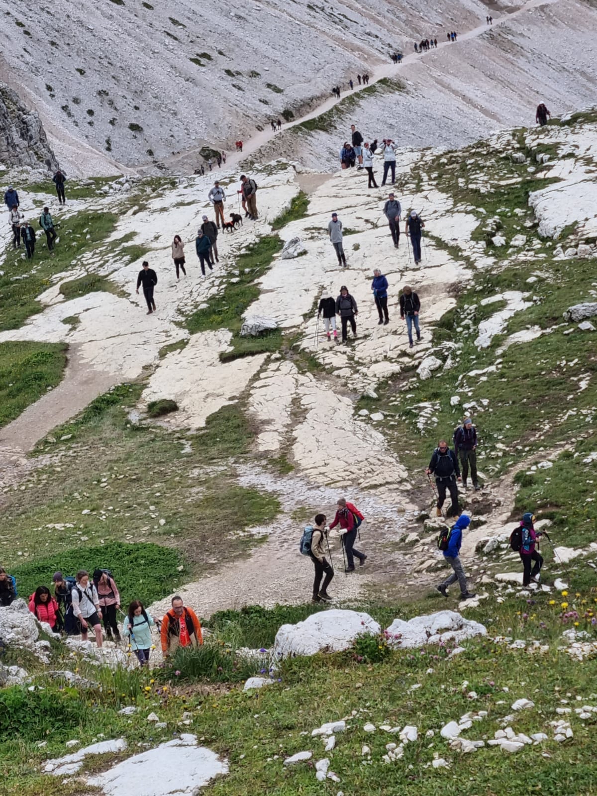 IMG-20250727-WA0056